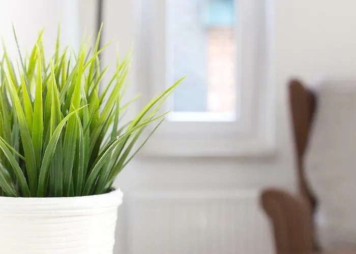 호텔 Pfannkuchenhaus Fehmarn 버그아프페마른